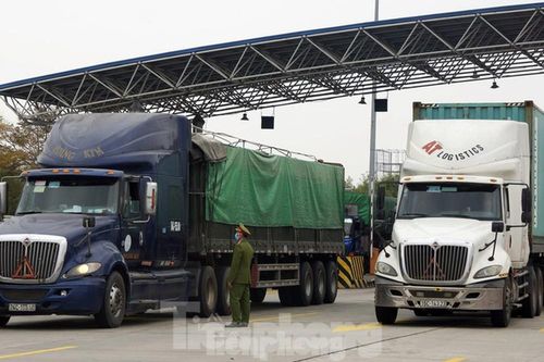 Bộ GTVT xây dựng quy chuẩn cho phương tiện chở hàng từ vùng dịch COVID-19