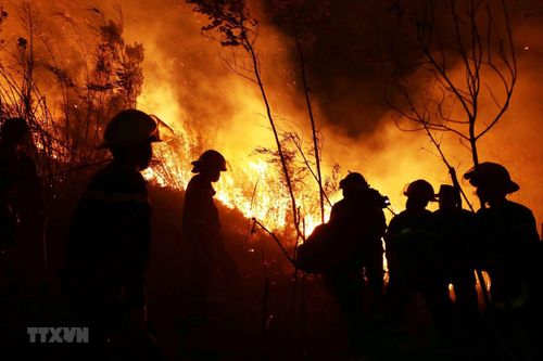 Lai Châu: Cháy rừng tại huyện Tam Đường bùng phát trở lại và lan rộng