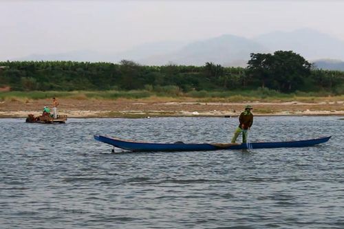 Một phần ba các loài cá nước ngọt đang đối mặt nguy cơ tuyệt chủng