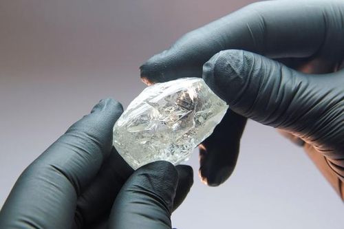 Đấu giá viên kim cương 242 carat với mức khởi điểm 2 triệu USD