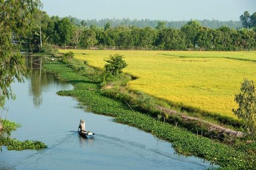 Hành trình khám phá nông thôn Việt Nam với 5 địa điểm nổi tiếng
