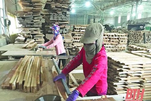 Huyện Như Thanh thu hút các doanh nghiệp có mặt hàng xuất khẩu
