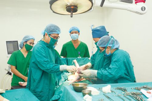 Chuyên môn làm trọng, y đức làm đầu