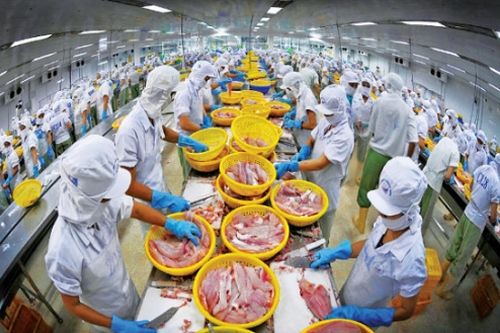 697 doanh nghiệp Việt được phép xuất khẩu thủy sản vào thị trường Đài Loan