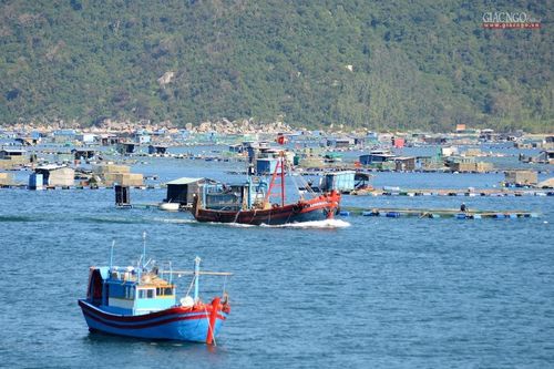 Xuân trên vùng biển 'tàu không số'