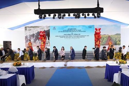 Khởi công dự án chăn nuôi bò sữa công nghệ cao trị giá 2.655 tỷ đồng ở An Giang