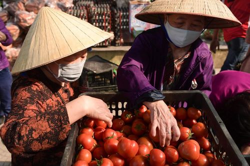 Các điểm giải cứu nông sản Hải Dương nở rộ khắp Hà Nội