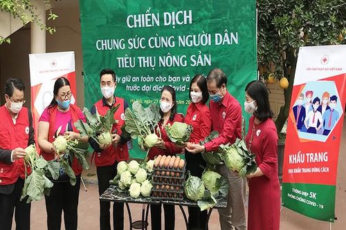 Hỗ trợ tiêu thụ nông sản cho người dân vùng dịch