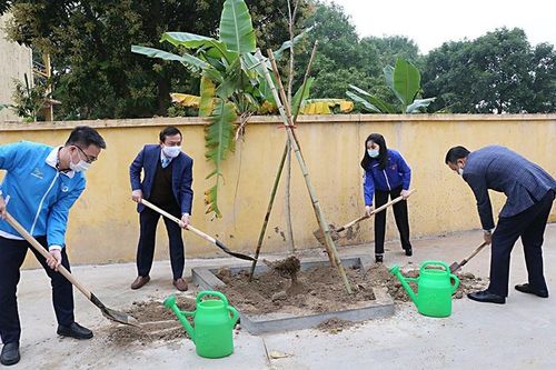 Tuổi trẻ Thủ đô trồng 15 nghìn cây xanh trong Tháng Thanh niên 2021