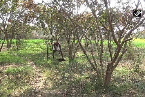 15 năm cần mẫn biến vùng đất cằn cỗi thành khu vườn 10.000 cây ăn quả