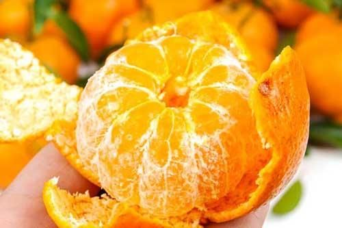 Những loại trái cây giúp tăng cường hệ miễn dịch tốt nhất