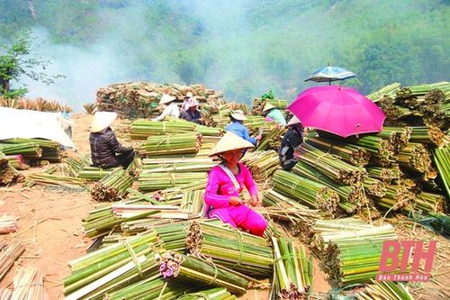 Những chiếc 'cần câu' thay đổi cuộc sống người dân vùng khó