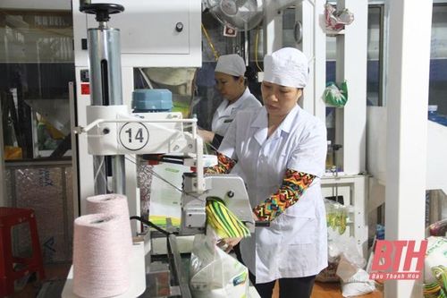 Xây dựng thương hiệu cho sản phẩm gạo