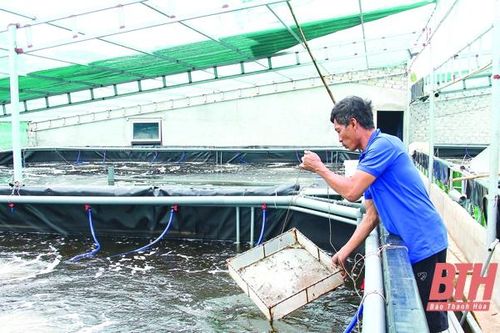 Phát triển nông nghiệp ứng phó với biến đổi khí hậu