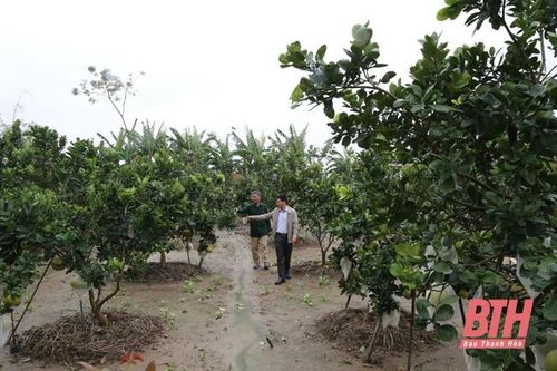 Những mô hình 'Dân vận khéo' ở huyện Nga Sơn