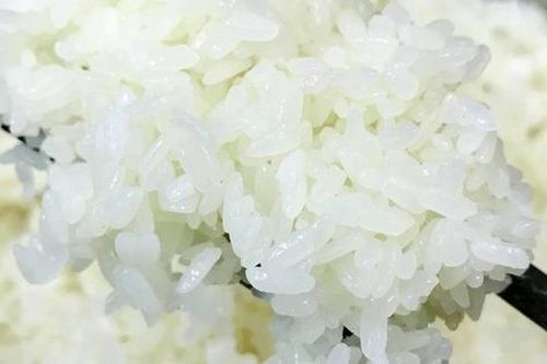 Không cần ngâm hay đồ 2 lần, nấu xôi theo cách cực nhanh này, xôi dẻo, bóng mảy để đến hôm sau vẫn như mới thổi