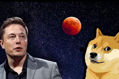 Elon Musk có thể bị điều tra vì thổi giá Dogecoin