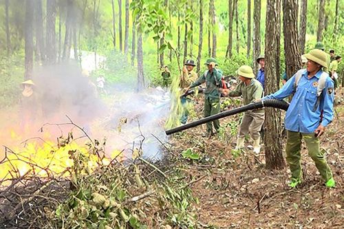 Lượng mưa ở Trung Bộ và Nam Trung Bộ cao hơn trung bình nhiều năm