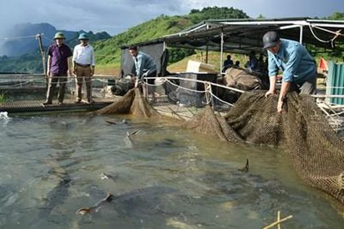 Làm thực chất, tránh phong trào