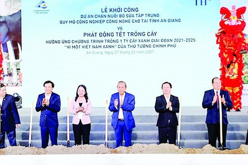 Khởi công dự án chăn nuôi bò sữa 2.655 tỷ đồng ở ĐBSCL