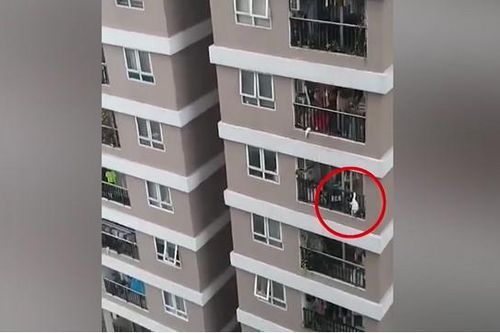 Bé 3 tuổi thoát chết kỳ diệu khi rơi từ tầng 13 chung cư