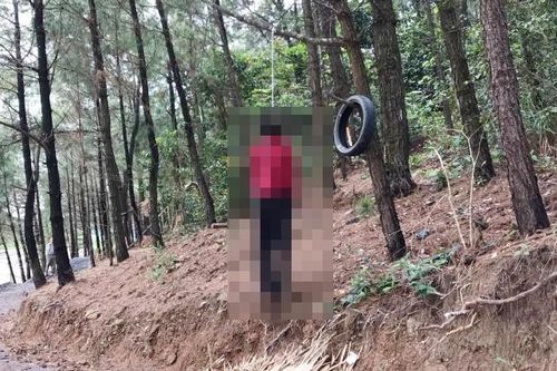 Mâu thuẫn chuyện cưới xin cho em gái, người anh vào rừng treo cổ tự vẫn