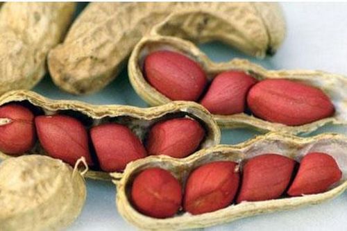 Đậu phộng được gọi là 'thần dược' nhưng 3 người này cần tránh