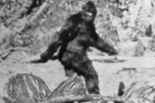DNA tiết lộ sự thật về 'người tuyết' Yeti