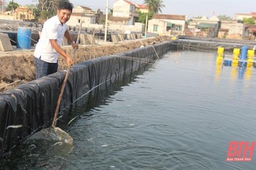 Bỏ mức lương cao, về quê nuôi 'tôm sạch'