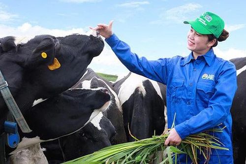Năm 2021, Mộc Châu Milk dự kiến lãi 319 tỷ đồng, tăng 13,5%