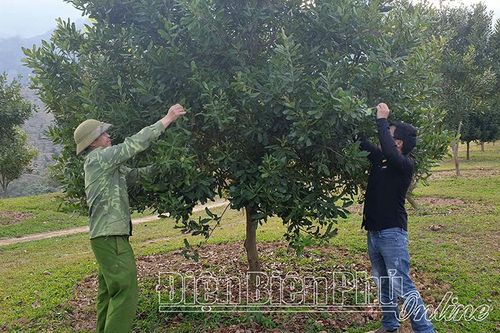 Ðể nghị quyết sớm đi vào cuộc sống