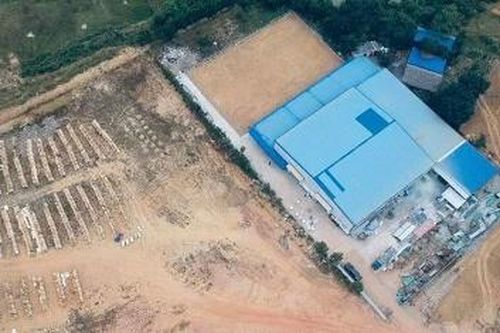 Xử phạt 57 triệu đồng một công ty xây dựng nhà máy trên đất rừng sản xuất chưa chuyển đổi