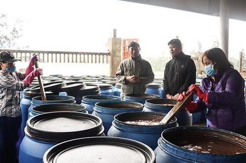 Sôi nổi phong trào cựu chiến binh làm kinh tế giỏi