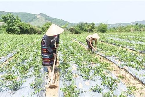 Chuyển biến tích cực trong công tác giảm nghèo ở Cam Lộ