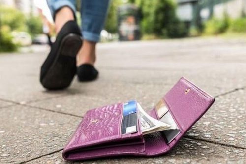 Cô gái nhận lại ví đánh rơi có 20 triệu đồng khi đi du lịch