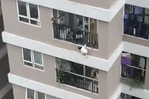 Rà soát tiêu chí nhà an toàn sau vụ bé gái rơi từ tầng 12A