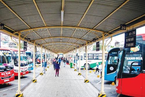 Doanh nghiệp vận tải lao đao vì Covid-19