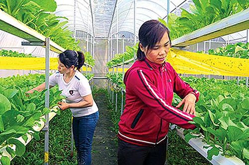 Vĩnh Long đẩy nhanh xây dựng chính quyền điện tử