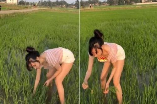 Ra thăm ruộng, Bà Tưng lộ vòng 1 nhận đủ 'gạch đá'