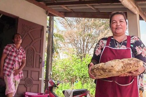 Nhặt được khối đá bốc mùi hôi ngoài bờ biển, một ngư dân bát ngờ thành tỷ phú