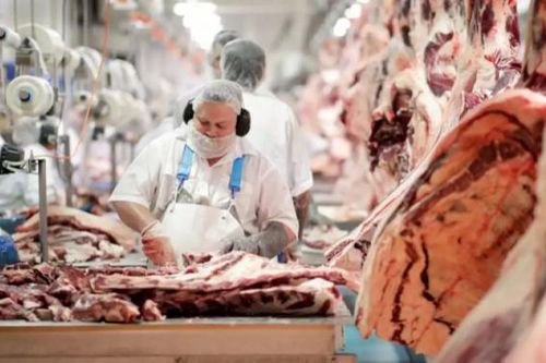 Thịt bò Úc đang rơi vào cuộc 'khủng hoảng thế kỷ'?