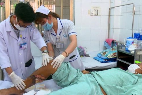 Đồng Nai: Người đàn ông bị bò tót húc trọng thương