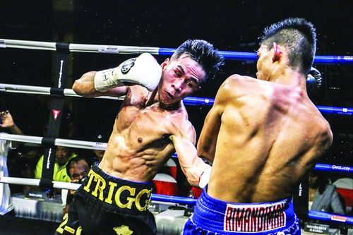 Võ sỹ Trần Văn Thảo sẽ tranh đai vô địch IBA tại Việt Nam