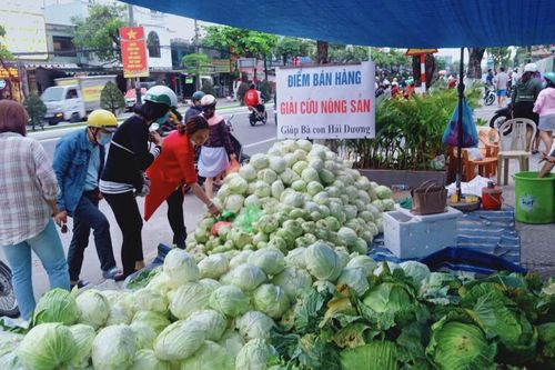 Tình nguyện viên Đà Nẵng giải cứu hàng trăm tấn nông sản Hải Dương
