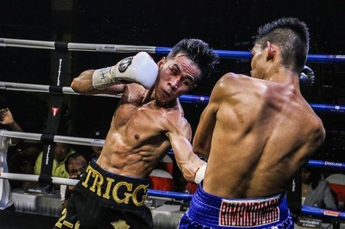 Võ sĩ Trần Văn Thảo tập luyện 'đổ máu' cho trận tranh đai vô địch IBA thế giới