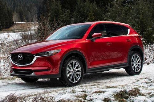 Những mẫu SUV được 'tung hô' quá đà