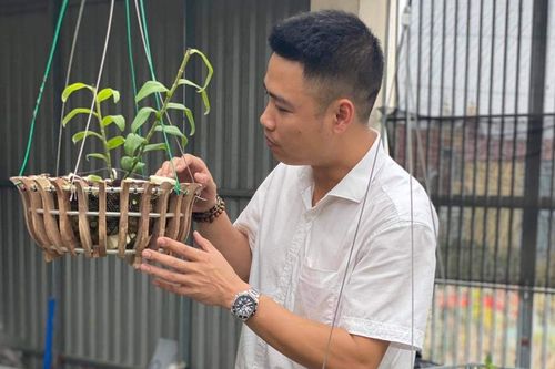 Nguyễn Thắng - Doanh nhân trẻ thành đạt cùng với niềm đam mê hoa lan