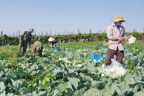 Người dân Gia Lai chung tay đẩy lùi dịch bệnh
