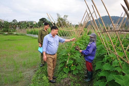 Đưa Nghị quyết HĐND vào cuộc sống