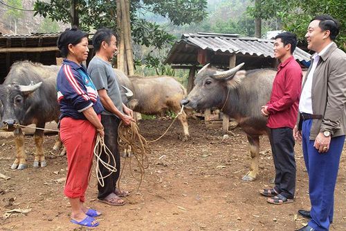 Yên Sơn thực hiện chủ trương trưởng thôn là đảng viên